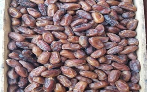 تصویر 4 از خرید و فروش خرما سایر نیمه خشک با شرایط فوق العاده